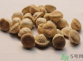 壯陽果可以泡水喝嗎？壯陽果泡水喝的功效與作用