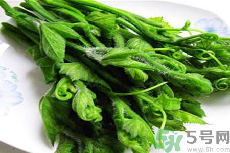 南瓜藤的功效作用有哪些？南瓜藤的食用價(jià)值是什么？