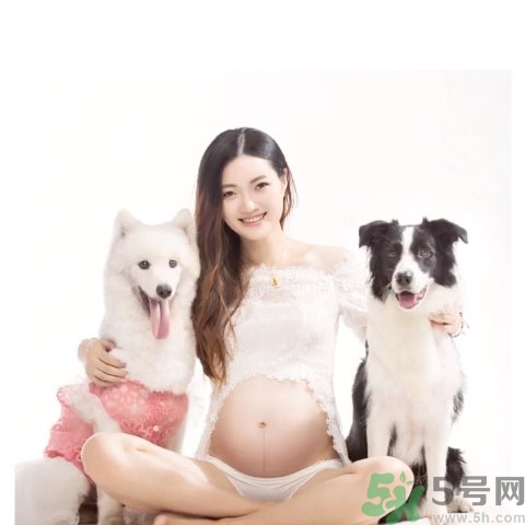 孕婦可以養(yǎng)狗嗎？養(yǎng)狗對孕婦有影響嗎？