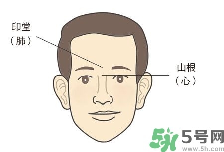 耳垂上有豎紋是怎么回事？山根有橫紋是什么??？