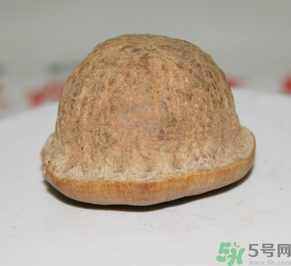 壯陽果多少錢一斤？壯陽果真的有效果嗎？