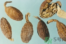 草果是什么？草果的功效與作用