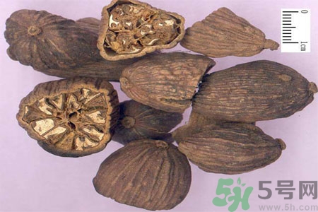 草果是什么？草果的功效與作用