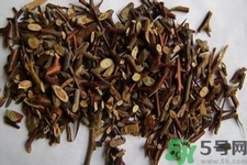 皂角刺的藥用價值是什么？皂角刺的功效與作用有哪些？