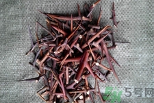 皂角刺的藥用價值是什么？皂角刺的功效與作用有哪些？
