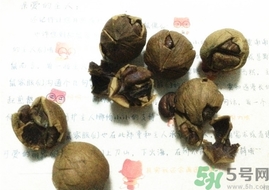 三只松鼠多少錢一袋？三只松鼠價格