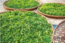 普洱茶怎么保存？茶葉能放冰箱嗎？