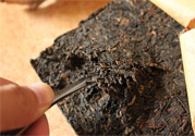 普洱茶怎么保存？茶葉能放冰箱嗎？