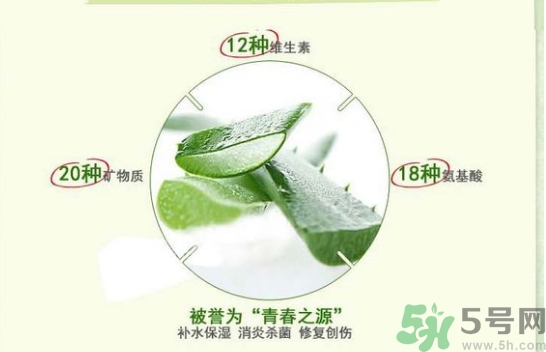 the saem得鮮和自然樂園哪個好？得鮮的蘆薈膠和自然樂園哪個好？