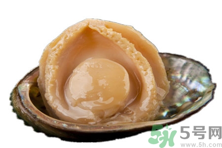 鮑魚如何挑選？鮑魚怎么保存？