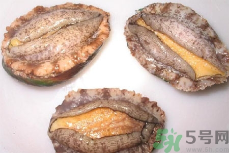 鮑魚的營養(yǎng)價(jià)值有哪些？鮑魚的藥用價(jià)值是什么？