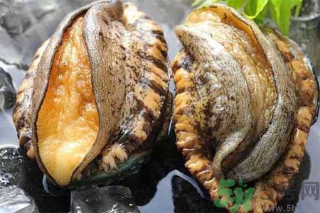 鮑魚的營養(yǎng)價(jià)值有哪些？鮑魚的藥用價(jià)值是什么？