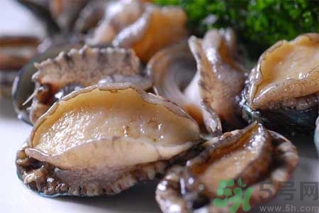 鮑魚的營養(yǎng)價(jià)值有哪些？鮑魚的藥用價(jià)值是什么？