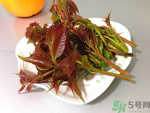 孕婦可以吃香椿嗎？孕婦吃香椿的好處及注意事項(xiàng)