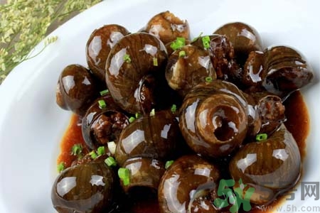 田螺肉怎樣做？田螺的營養(yǎng)價值有哪些？