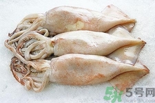 魷魚怎么處理？干魷魚怎么泡發(fā)？
