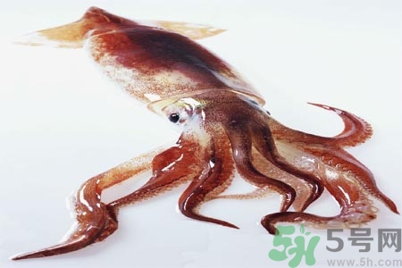 魷魚怎么處理？干魷魚怎么泡發(fā)？