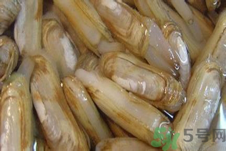 蟶子怎么洗？新鮮蟶子怎么挑選？