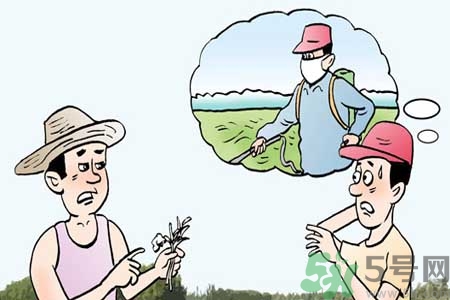怎么洗掉水果上的農(nóng)藥？農(nóng)藥殘留的危害有哪些？