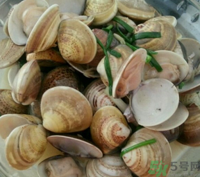 孕婦可以吃文蛤嗎？文蛤的功效與作用