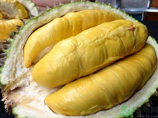 金枕頭榴蓮和普通榴蓮有什么區(qū)別？金枕頭榴蓮怎么挑？