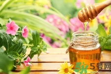 蜂蜜不能和什么一起吃？哪些人不能吃蜂蜜？