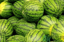西瓜牛奶可以一起吃嗎？西瓜牛奶怎么做好吃？