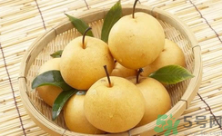 娃娃梨是怎么種出來的？娃娃梨為什么外形像娃娃？