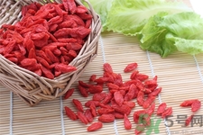 枸杞子泡酒怎么泡？枸杞酒的制作方法是什么？
