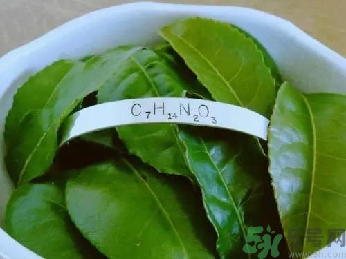 睡眠水為什么可以讓人入睡？可口可樂睡眠水有什么副作用？