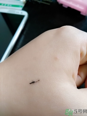 悅詩風吟睫毛膏使用方法 悅詩風吟睫毛膏怎么用？