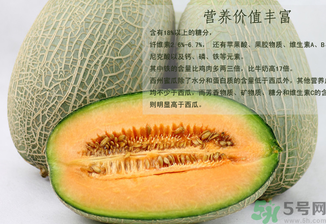 西州蜜瓜怎么吃？西州蜜瓜的食用方法
