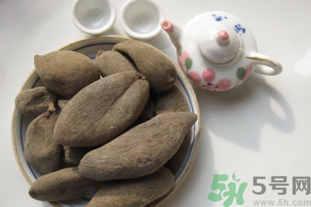 五倍子能治早泄嗎？五倍子的副作用有哪些？