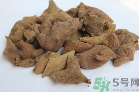 五倍子能治早泄嗎？五倍子的副作用有哪些？