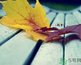 秋分是什么意思？秋分是幾月幾日