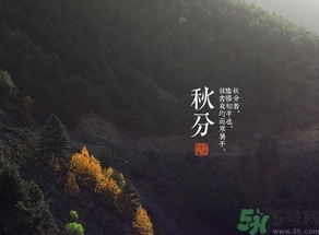 秋分吃什么？秋分吃什么水果？