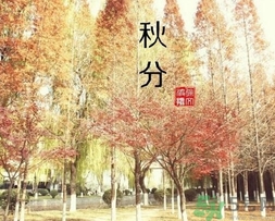 秋分吃什么？秋分吃什么水果？
