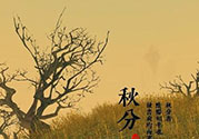 秋分吃什么？秋分吃什么水果？