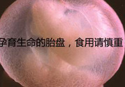 寶寶胎盤怎么處理比較好？?寶寶胎盤的功效與作用