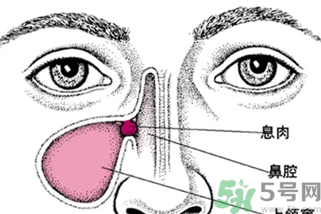 鼻子出血怎么辦？鼻子出血的原因是什么？