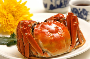螃蟹什么季節(jié)最好吃？螃蟹幾月份吃最好？