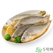 小黃魚的營養(yǎng)價(jià)值 小黃魚的功效與作用