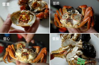 陽澄湖大閘蟹怎么吃？食陽澄湖大閘蟹注意事項