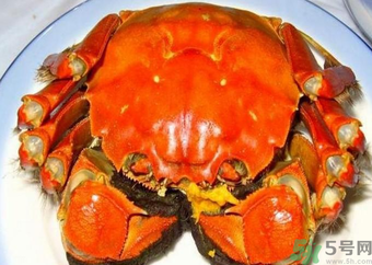大閘蟹什么季節(jié)吃最好？吃大閘蟹的季節(jié)