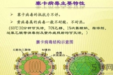 寨卡病毒對孕婦有危害嗎？寨卡病毒對孕婦的危害有哪些？