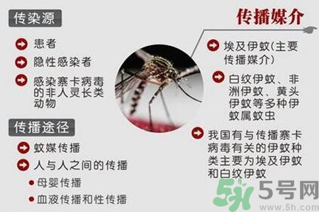 寨卡病毒對孕婦有危害嗎？寨卡病毒對孕婦的危害有哪些？