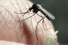 寨卡病毒對(duì)兒童的影響有哪些？寶寶如何避免及預(yù)防？