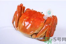 陽澄湖大閘蟹怎么做好吃？陽澄湖大閘蟹的做法