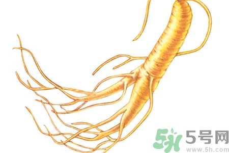 人參怎么吃效果最好？人參的做法大全