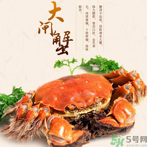 梁子湖大閘蟹什么時候上市？梁子湖大閘蟹上市時間